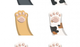 漫画猫爪,探索猫咪的神秘魅力